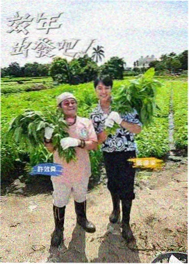 深夜对谈情感访谈综艺